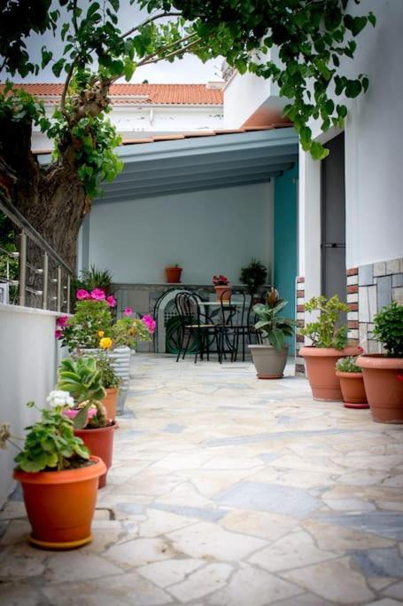 Spacious Apartment In The Heart Of Pythagorion Εξωτερικό φωτογραφία